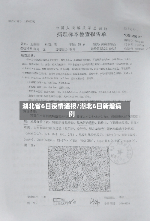 湖北省6日疫情通报/湖北6日新增病例