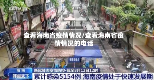 查看海南省疫情情况/查看海南省疫情情况的电话