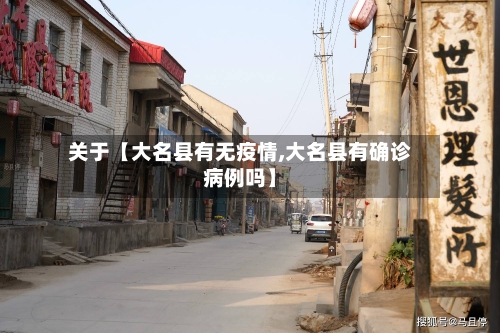 关于【大名县有无疫情,大名县有确诊病例吗】-第2张图片