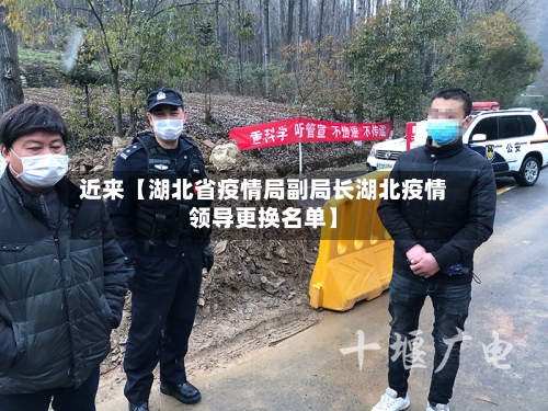 近来【湖北省疫情局副局长湖北疫情领导更换名单】-第2张图片