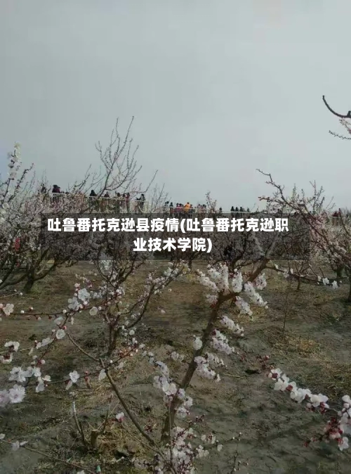 吐鲁番托克逊县疫情(吐鲁番托克逊职业技术学院)
