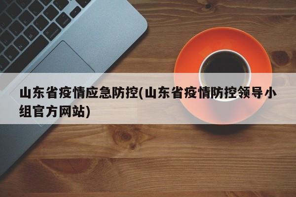 山东省疫情应急防控(山东省疫情防控领导小组官方网站)