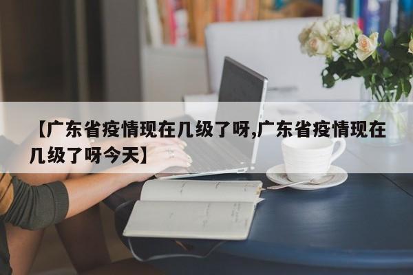 【广东省疫情现在几级了呀,广东省疫情现在几级了呀今天】